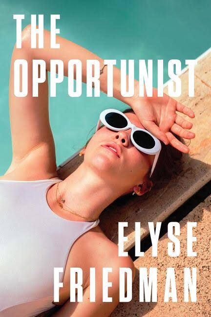 The Opportunist by Elyse Friedman